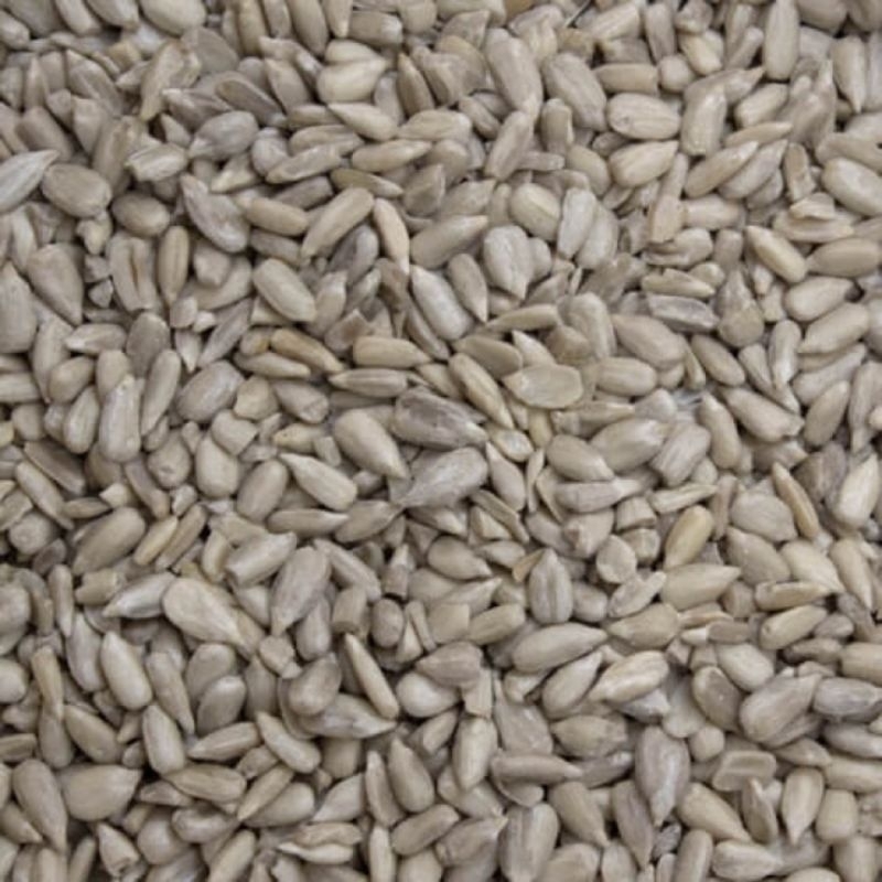 MATAHARI Sunflower SEED/KUACI/SUNFLOWER SEED / | Shopee Singapore