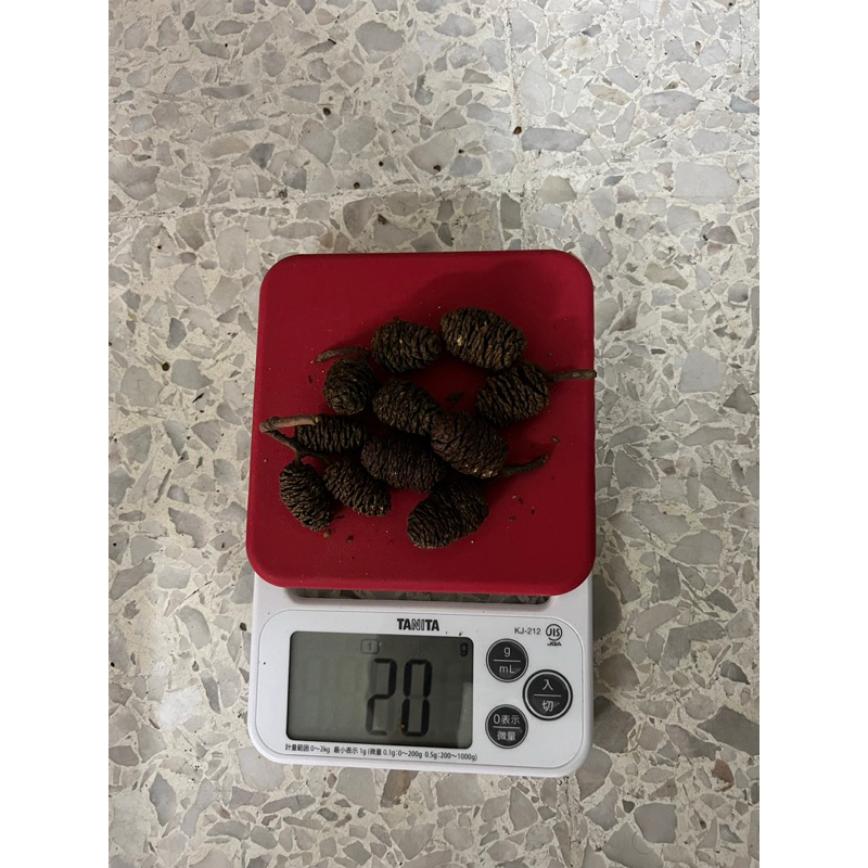 Shrimp Chef Pine Cones (20g) | Shopee Singapore