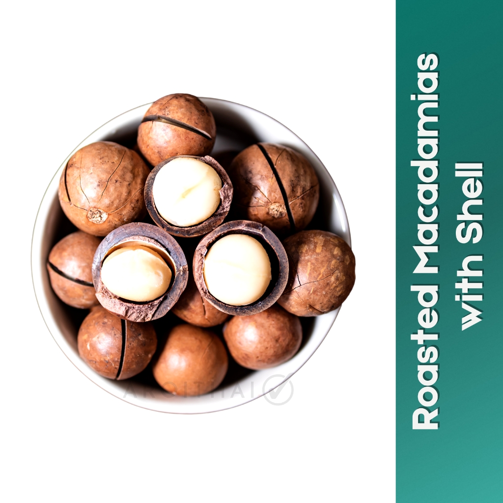AROITHAI Roasted Macadamias with Shell kacang macadamia Macadamias With ...
