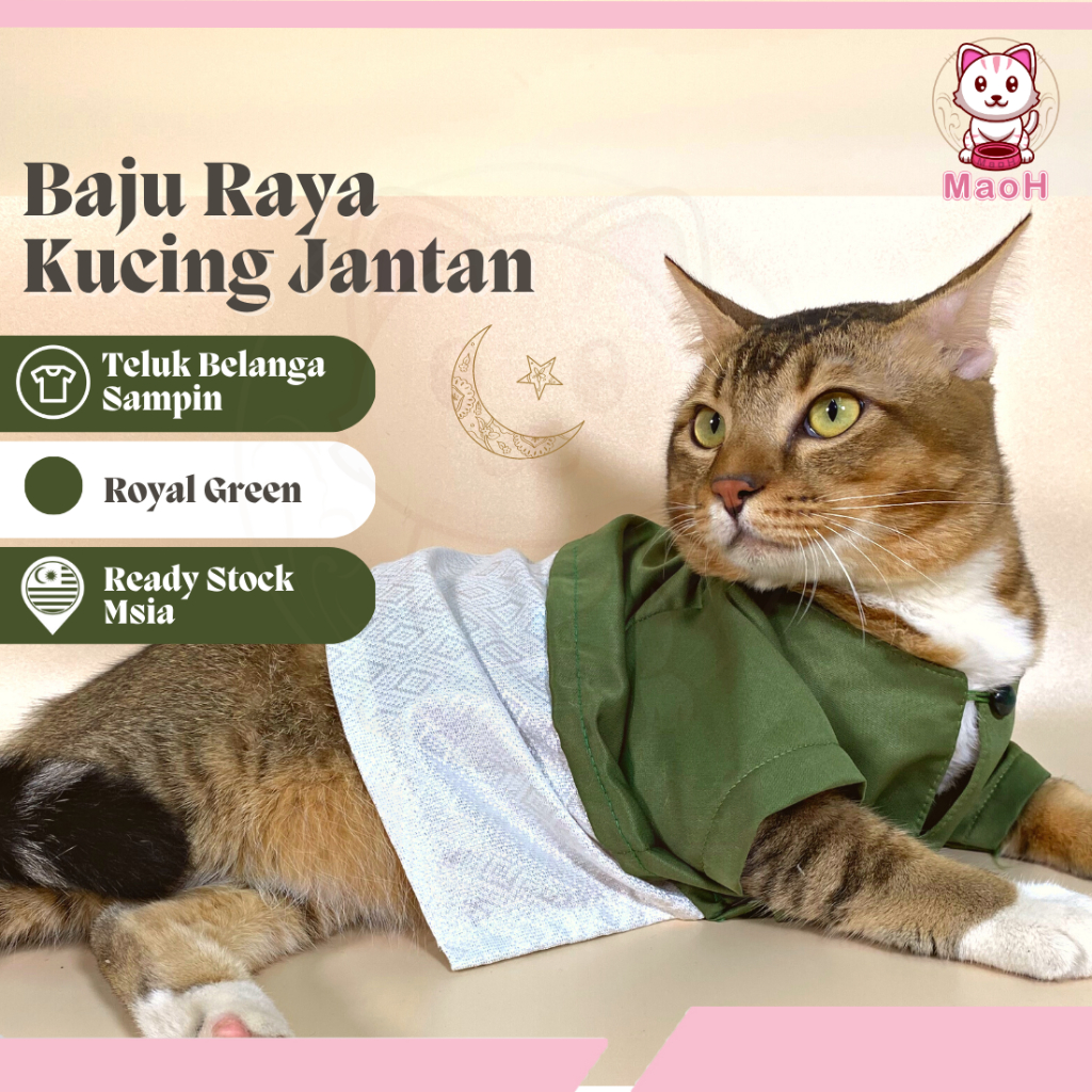 Male best sale cat clothes