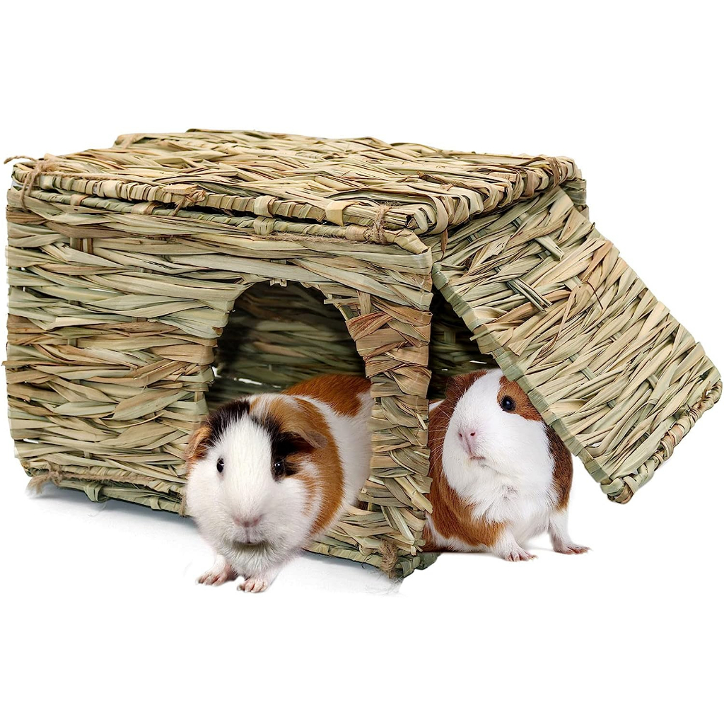 Guinea pig hay house sales