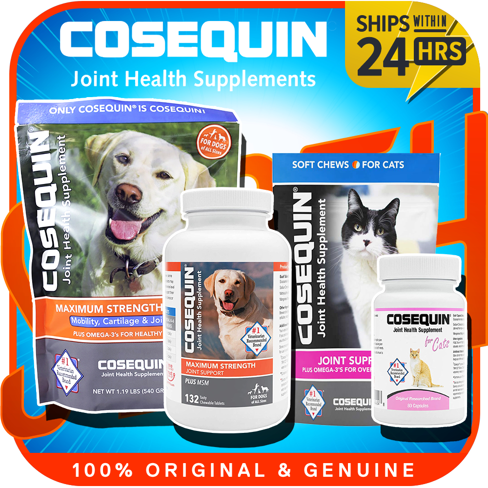 Nutramax cosequin ds plus sales with msm chewable tablets costco