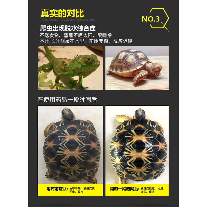 GYP Reptiles Turtle Shell Care Sulcata Tortoise Shell Oil Supplement ...