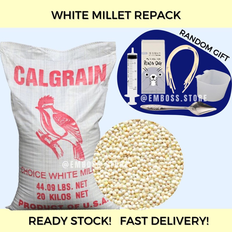 WHITE MILLET REPACK Vacuum Packaging Makanan Burung Bird Food Bird Feed