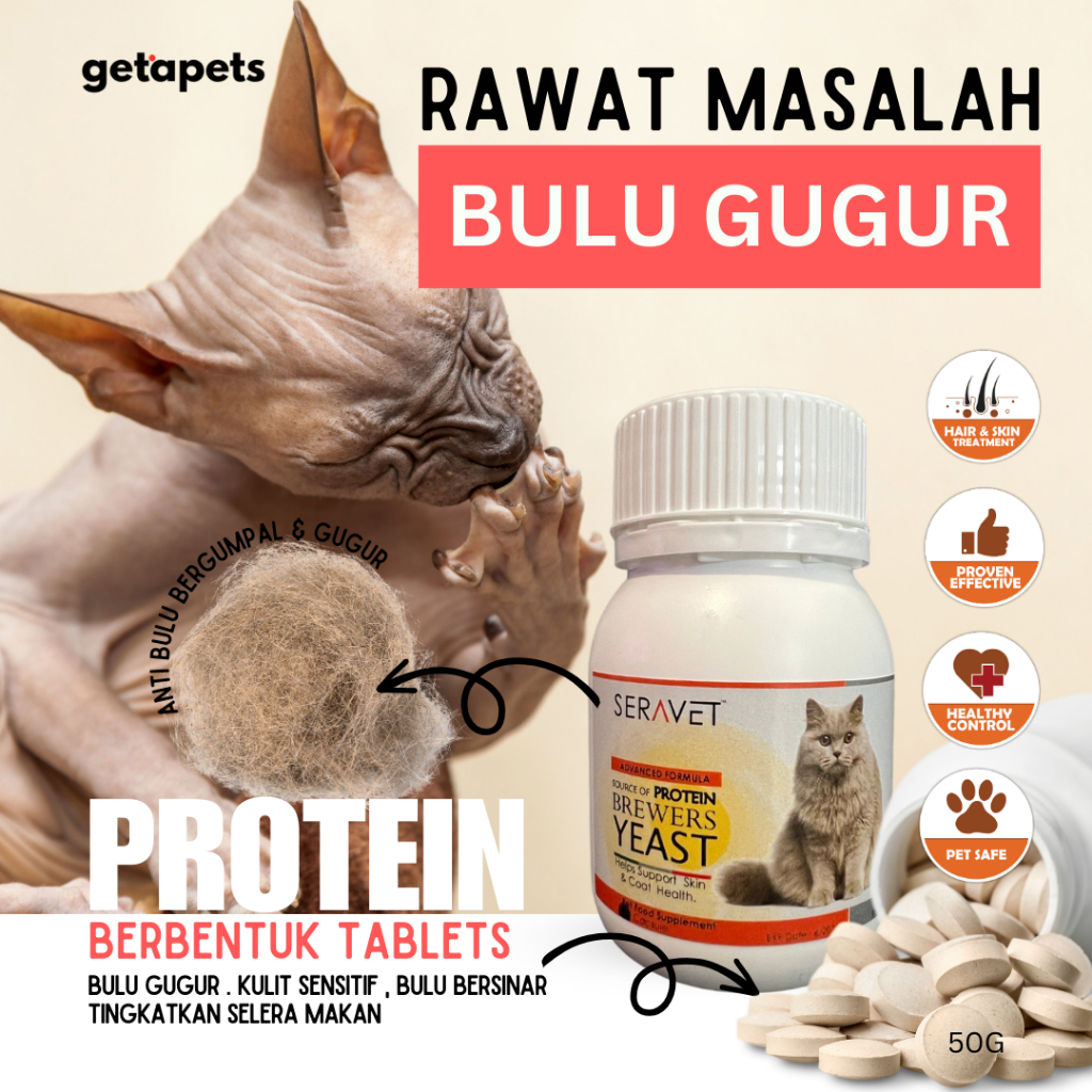 Increase Appetite For Cats