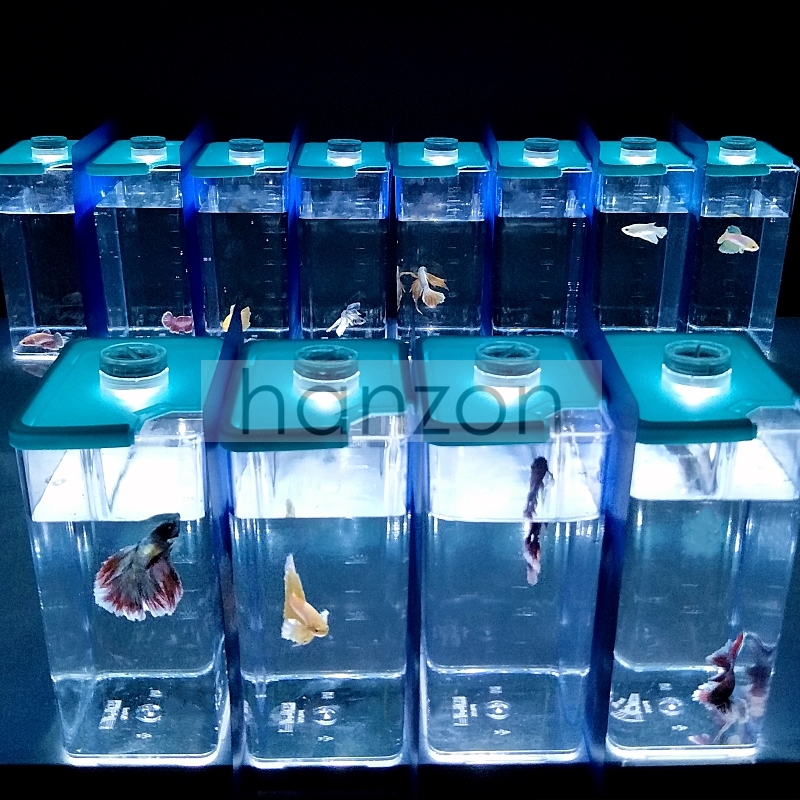 (EMCM) Betta Fish Tank With Plastic Card & Led Light | Shopee Singapore