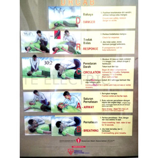 TNB USE CPR / DRCAB CHART WITH WOODEN FRAME ( 400MM X 600MM ) | Shopee ...