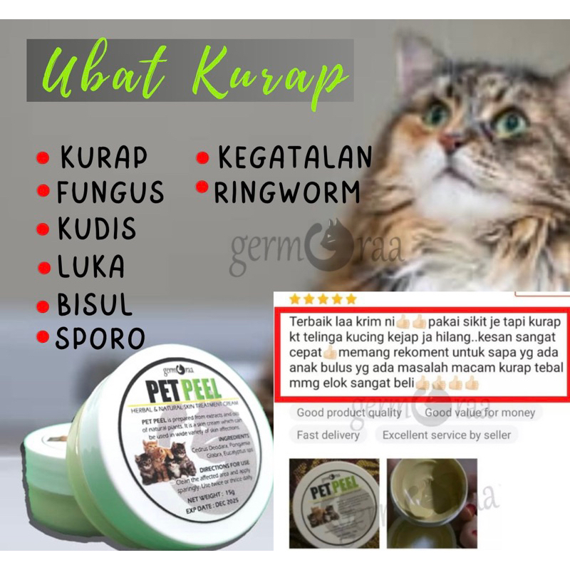 Kuching Ringworm Ringworm Ringworm Watery Sporo Fungus Ringworm