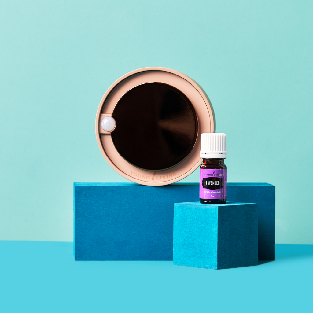 YoungLivings Ignite the Dream Set /Dream Set Duo Wall Diffusers