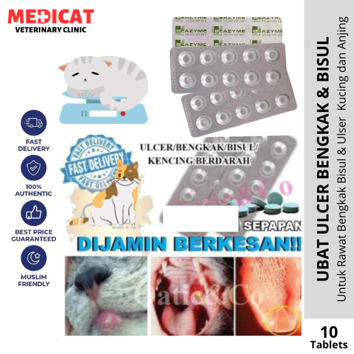 Ulcer & Mouth Ulcer Swelling Medicine For Cats And Dogs Vet 10 Seeds