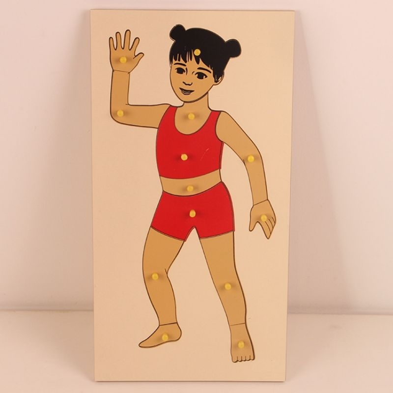 Wooden Body Parts Puzzle Human Body Puzzle for Toddlers Kids Preschool