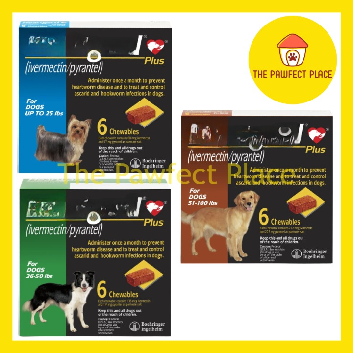 Dog Heartworm Prevention Chewable Tablet Prevention Heart Disease