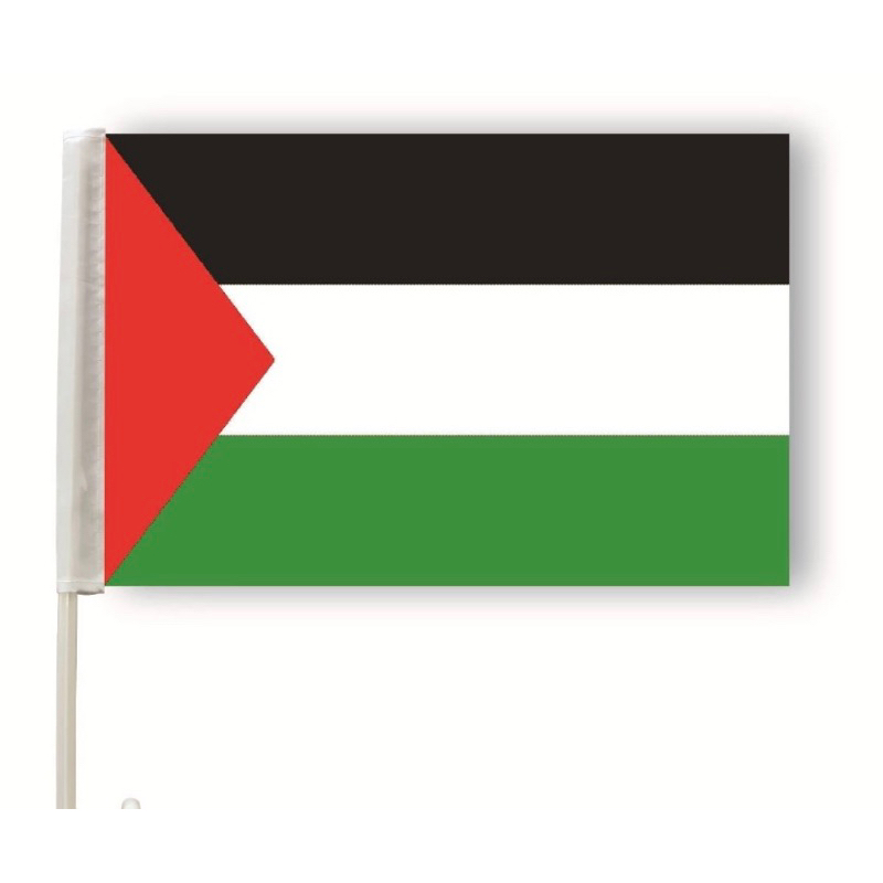 Palestine Stick Flag 30x45cm / Palestinian Hand Flags | Shopee Singapore