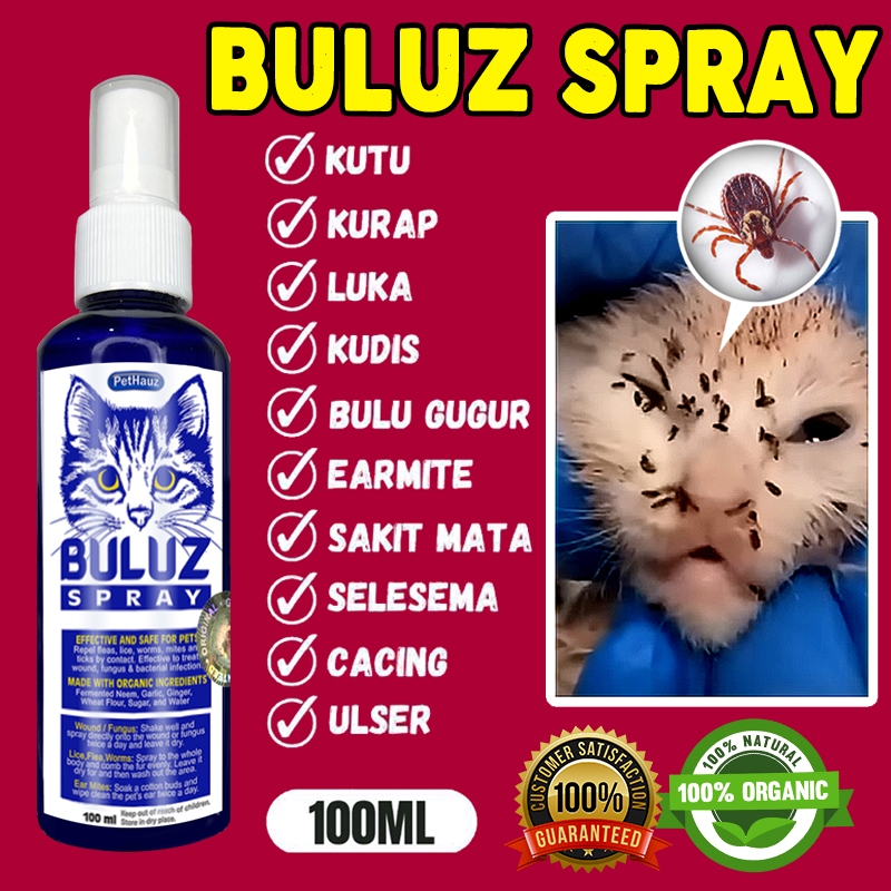 A closer look at Ringworm Medication For Cats With Flea And Tick Infestation And Skin Issues