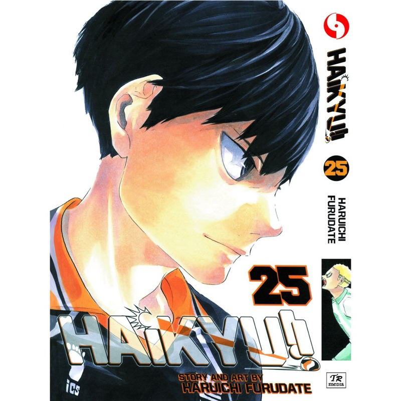 Online Haikyuu!! Volumes 1-9