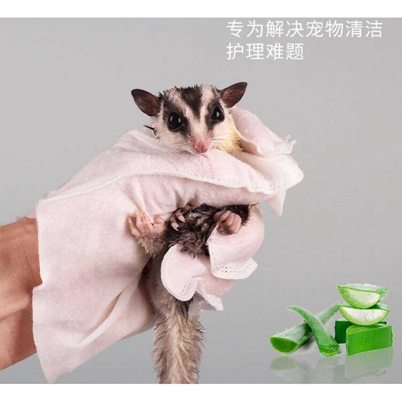 Pet glove Gloves Honey Glider Hamster Dry Cleaning Wipes Squirrel Rabbit Bath Dedicated Octopus Cleaning Bath Products Natural pet glove Shopee Singapore