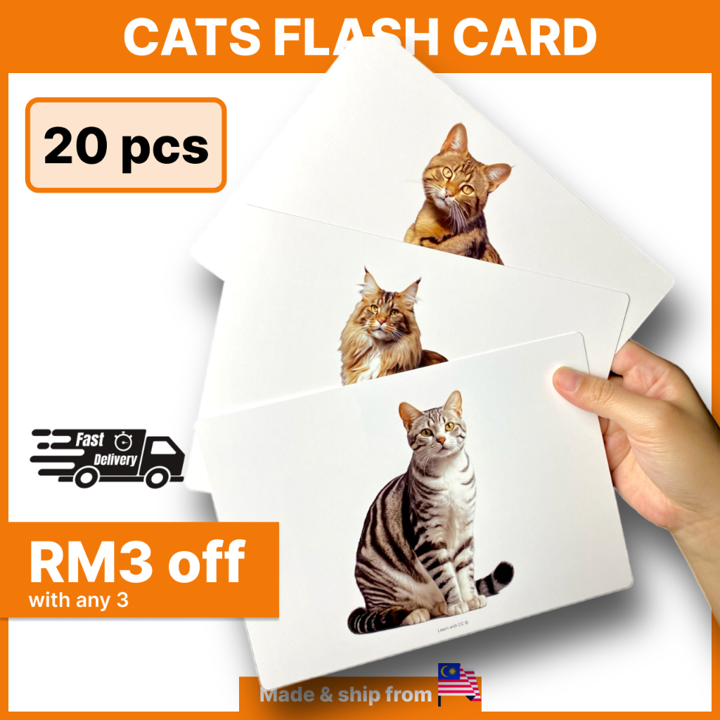 Cats Big Flash Cards for Kids, Baby, Big Flash Card, Flashcard, Flashcards, Bayi, toys