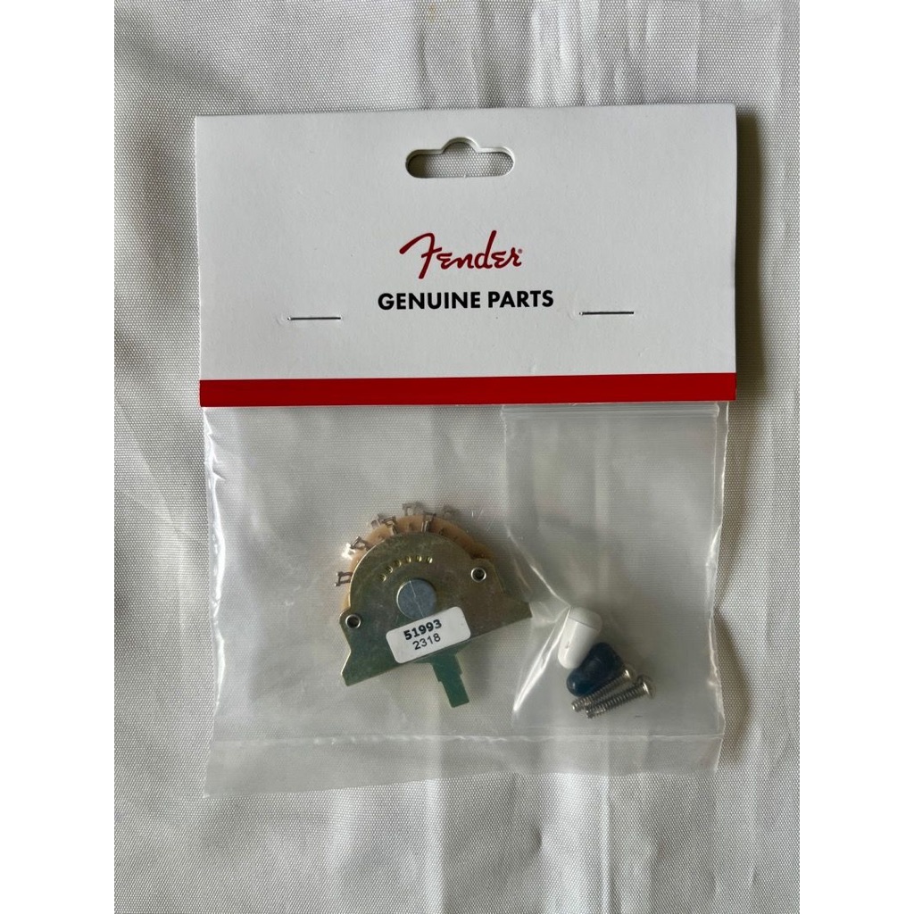 Black Strat Pickup: Considerazioni Definitive (forse) | GIAMPAOLO NOTO