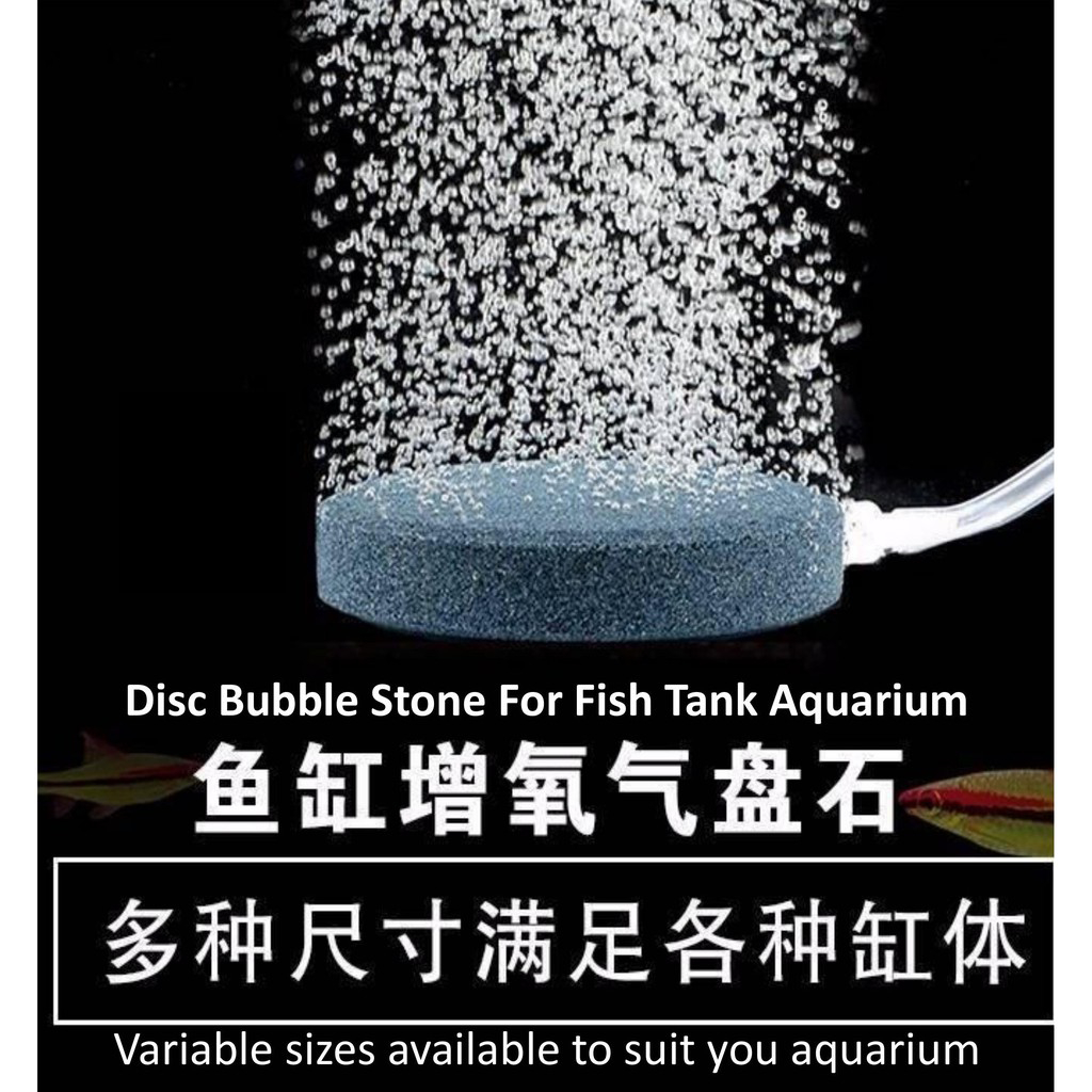 Premium Round Bubble Air Stone Disc Aeration Batu Bubble Bulat Disk