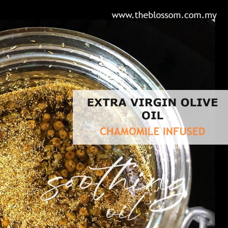 Chamomile Infused Extra Virgin Olive Oil/ 洋甘菊浸泡橄榄油- easing skin ...