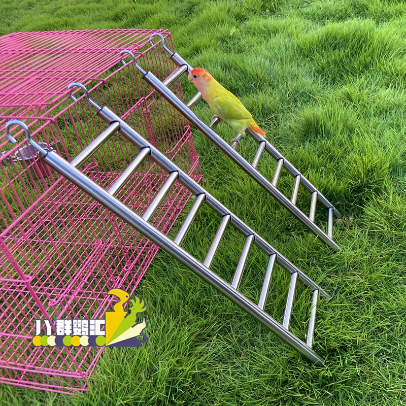 Parrot climbing ladder, stainless steel ladder, game ladder, large ... - Large Rope Ladder For Parrots