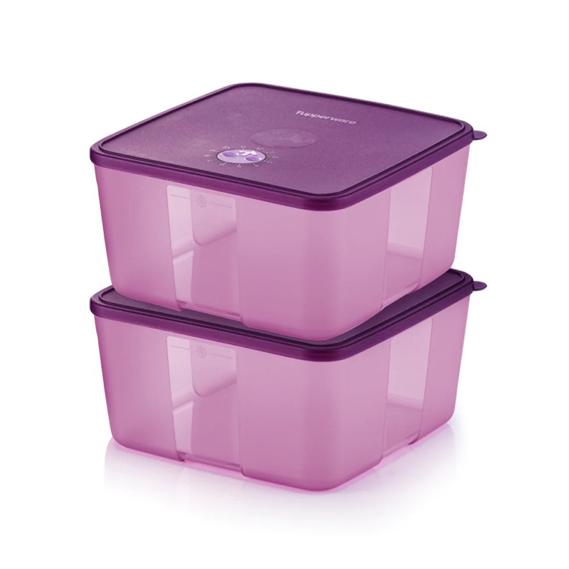 Tupperware FreezerMate Square with Dial 2.3L(1pc) | Shopee Singapore