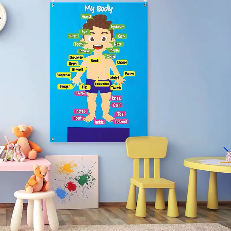 Body parts poster for kids Montessori toys montessori Preschool Human ...