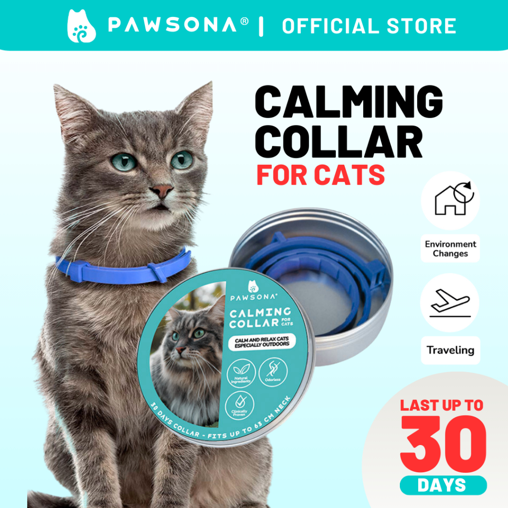 Amazon.com : Calming Collar for Cats 6 Pack Cat Calming Pheromones ... - Pheromone Cat Anxiety Reduction Collar
