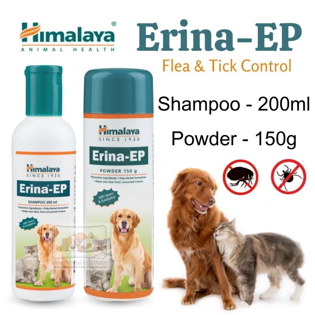 Himalaya tick cheap powder