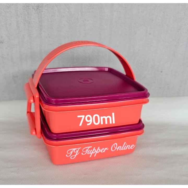 Tupperware Small Goody Box with Cariolier (2) 790ml – Oren | Shopee ...