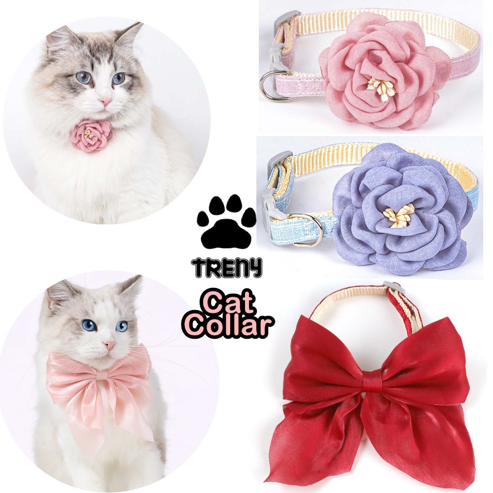 Ribbon cat collar sales