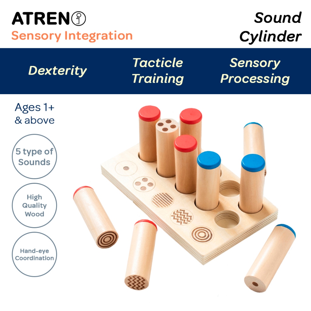Kid Montessori Pattern Sound Matching Cylinders Sensory Integration ...