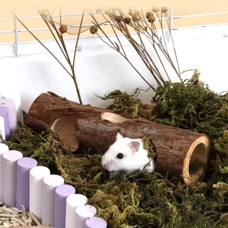 Hamster Tunnel Platform Wooden M Breeding House Hamster Cage Toy Golden ... - Hamster Hiding Places For Cage Bonding