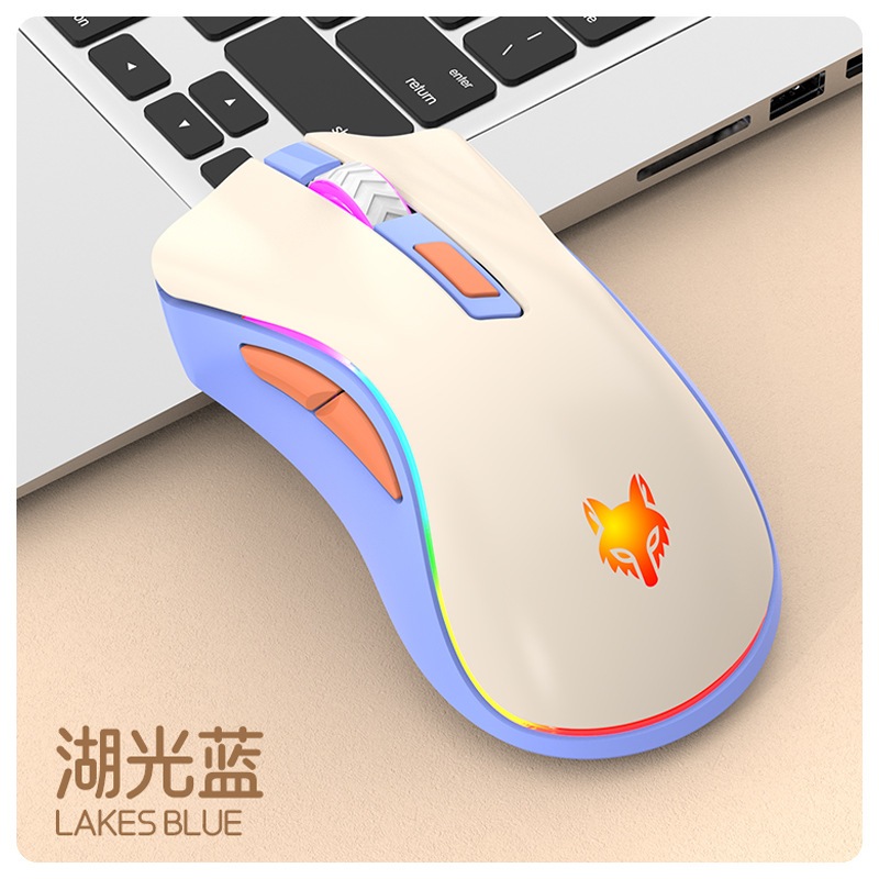 my-11134207-7r98z-lxdaurtq194aec