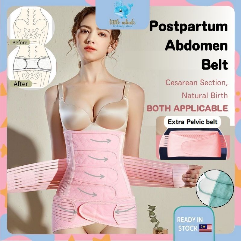 JA Belly Caimen Belt