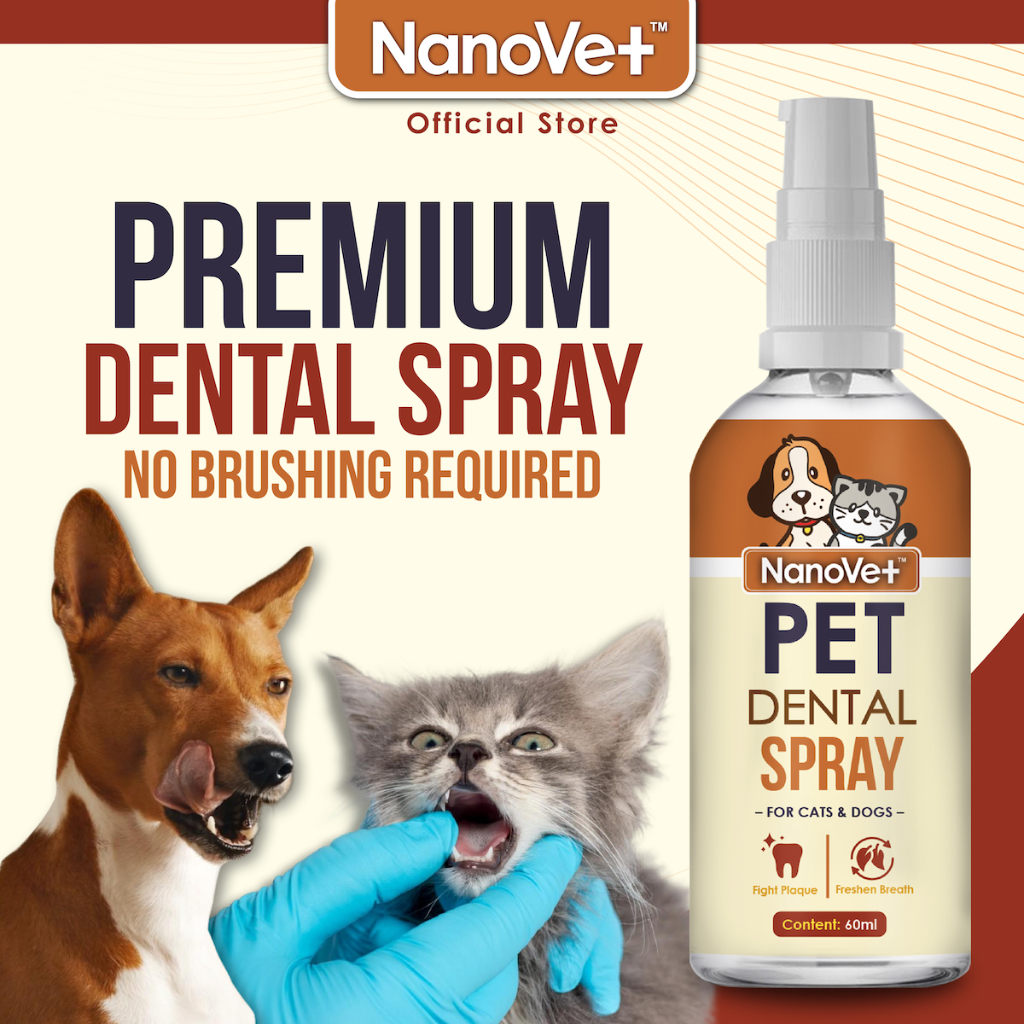 Cat dental spray hot sale