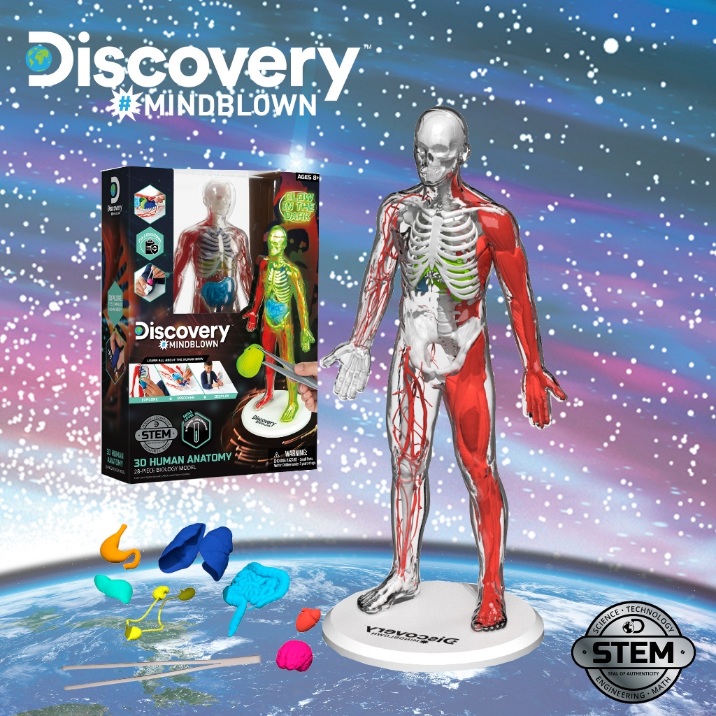 Discovery Mindblown Toy 3D Human Anatomy Kit (1423015831) Educational