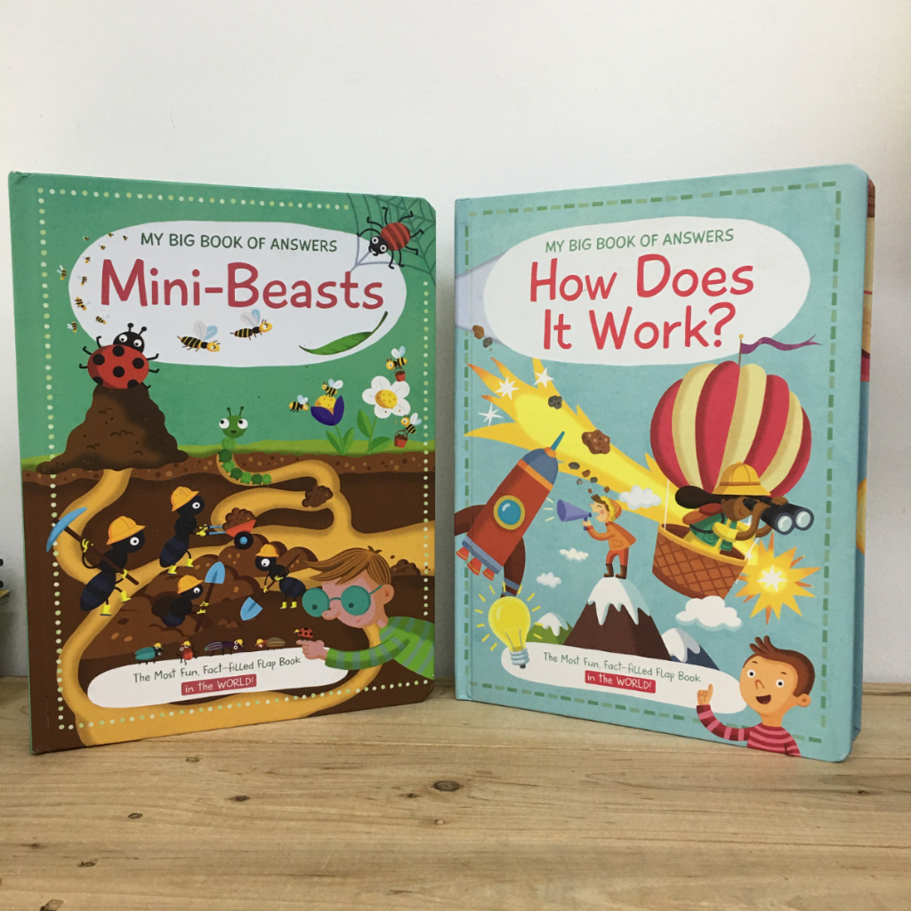 Lift-the-flap My Big Book of Answers : Mini-Beasts and How Does It Work ...