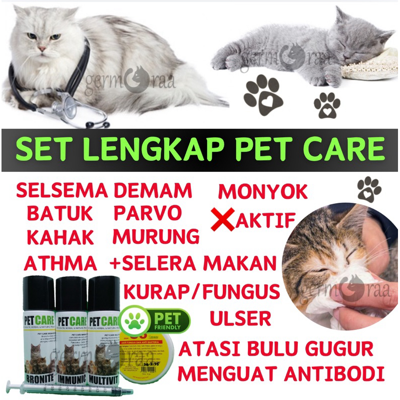 PET CARE All in one Selsema Kucing Batuk Kahak Bersin Cat Flu Immune ...