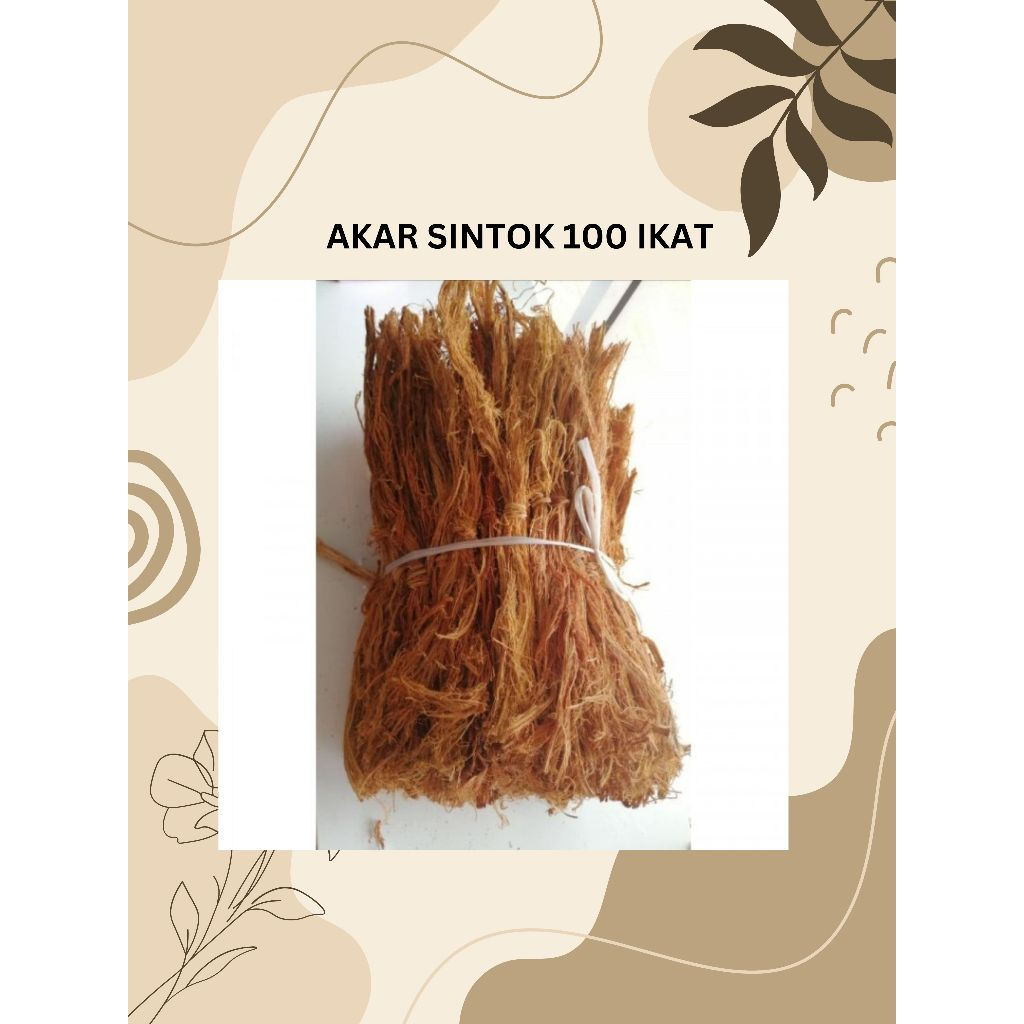 SINTOK ROOTS (100 BUNCH) BELURU ROOTS SINTOK ROOTS SINTOK MULTIPURPOSE ...