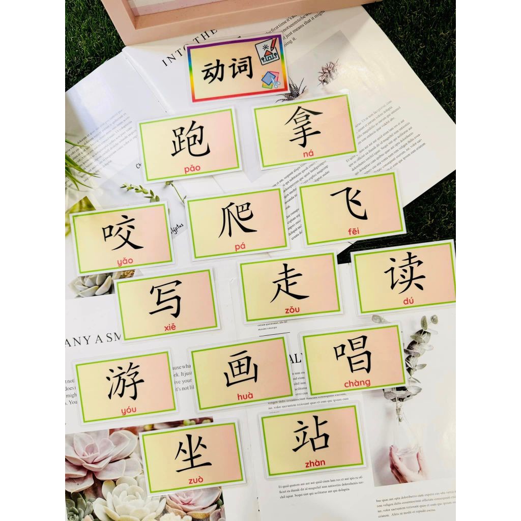 (READY STOCK)【Chinese Flash Card·华文识字字卡】 | Shopee Singapore
