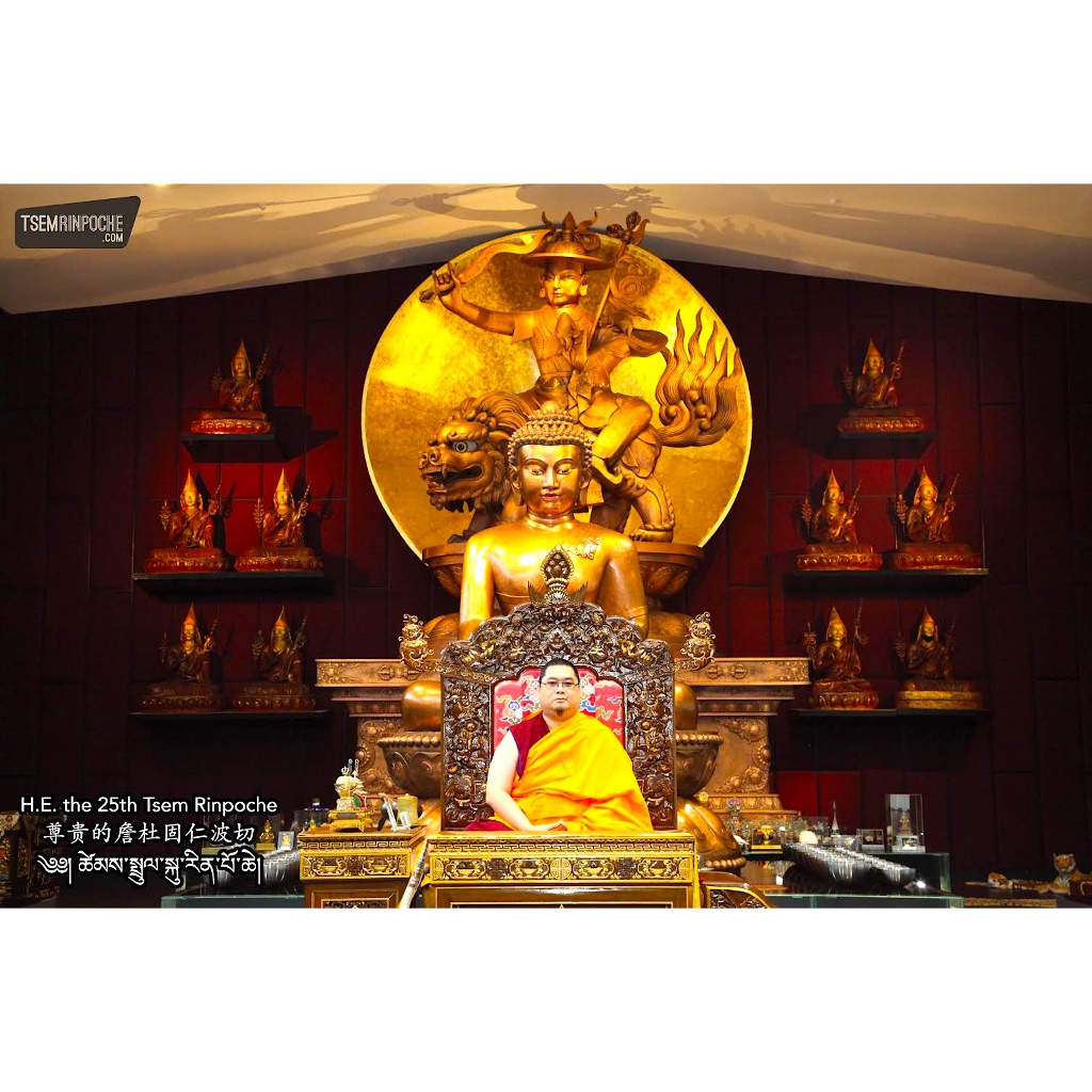 SUPREME DEITIES: TSEM RINPOCHE & DORJE SHUGDEN A4 PHOTO (WITH ...