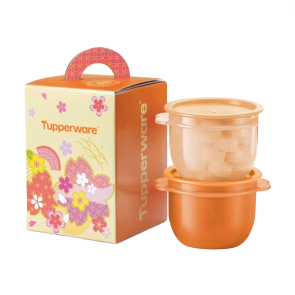 !! Tupperware Raya Cookies Set (1 Box) | Shopee Singapore