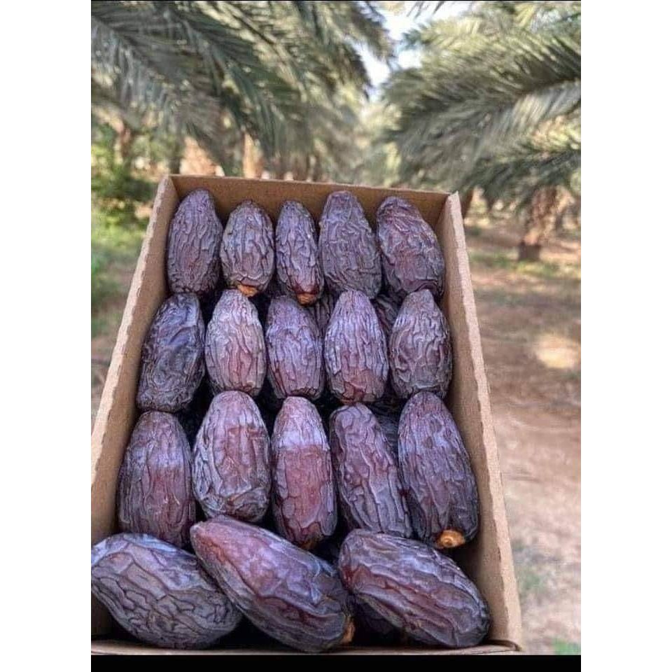 Buy medjool date Products At Sale Prices Online - October 2026 | Shopee ...