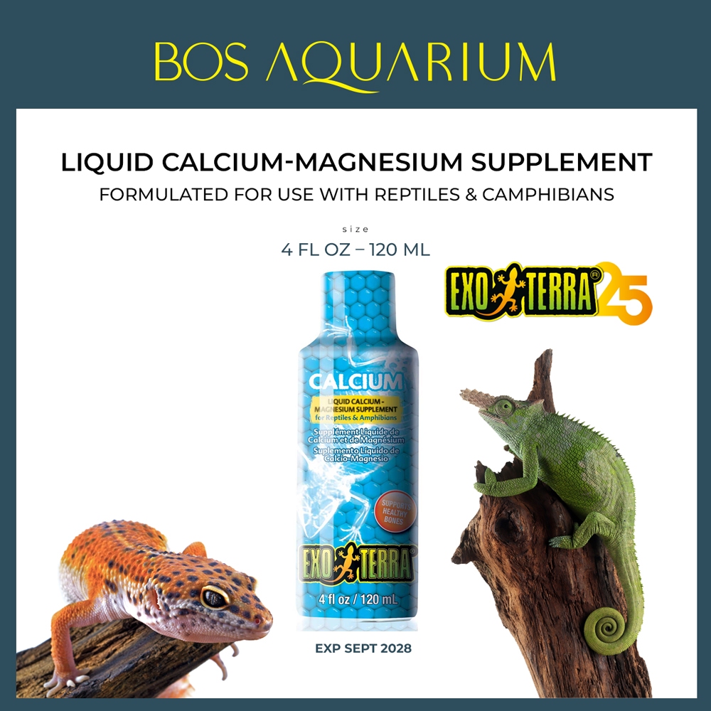 Reptile Bone Health And Calcium Supplements For Reptile Immune System preview