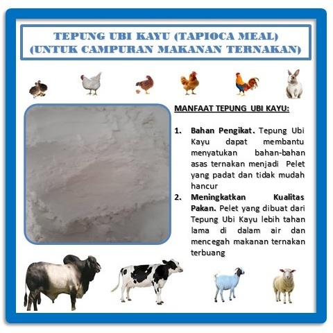 Tapioca Meal (Wooden Sweet Potato Flour) Repack 5kg 10kg/ | Shopee ...