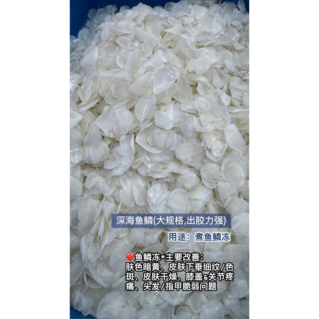 [Large Size] Fish Scales 500g/Medium Fish Scales/Medium Fish Scales ...