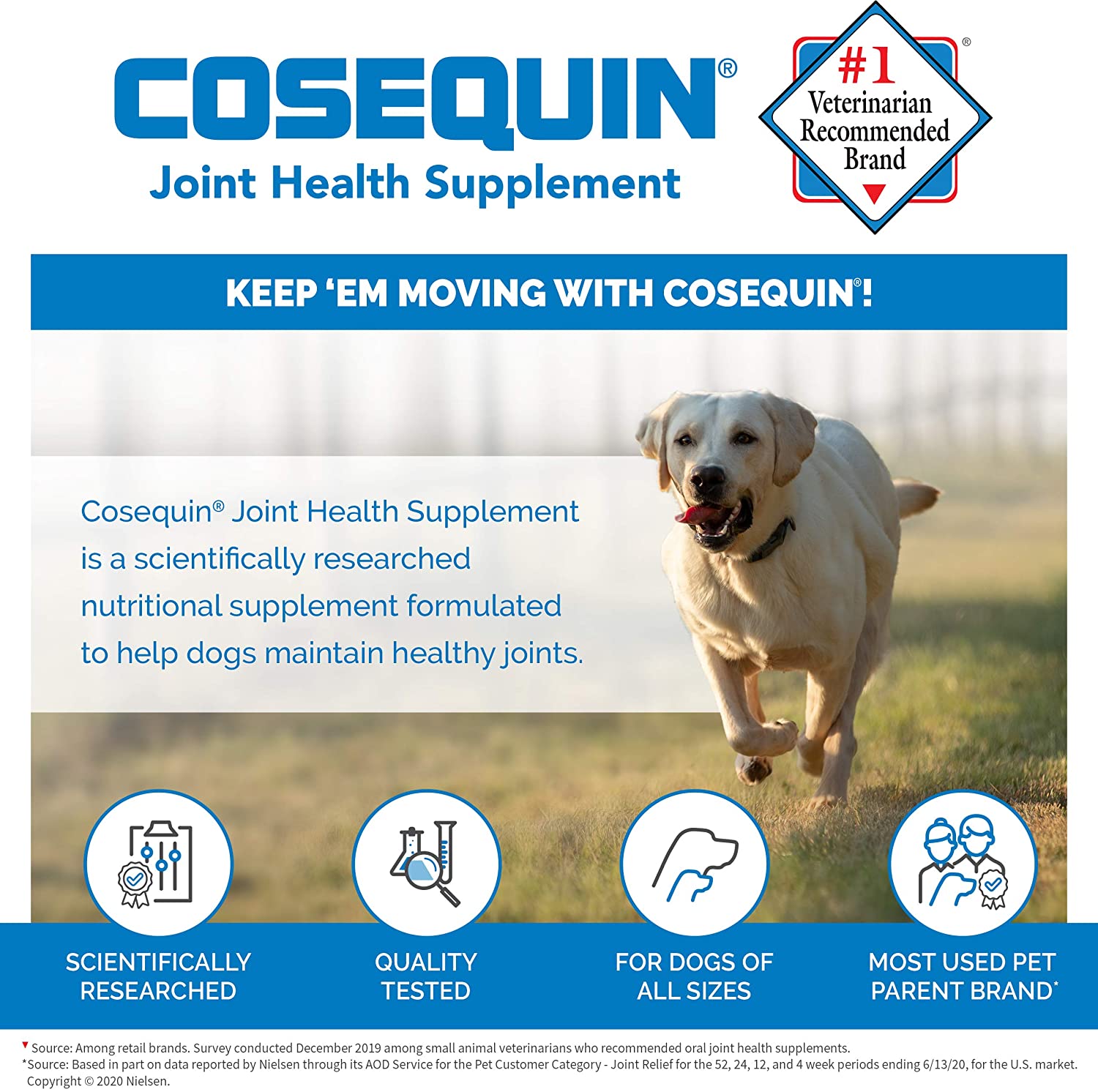 Cosequin glucosamine 2024 for dogs