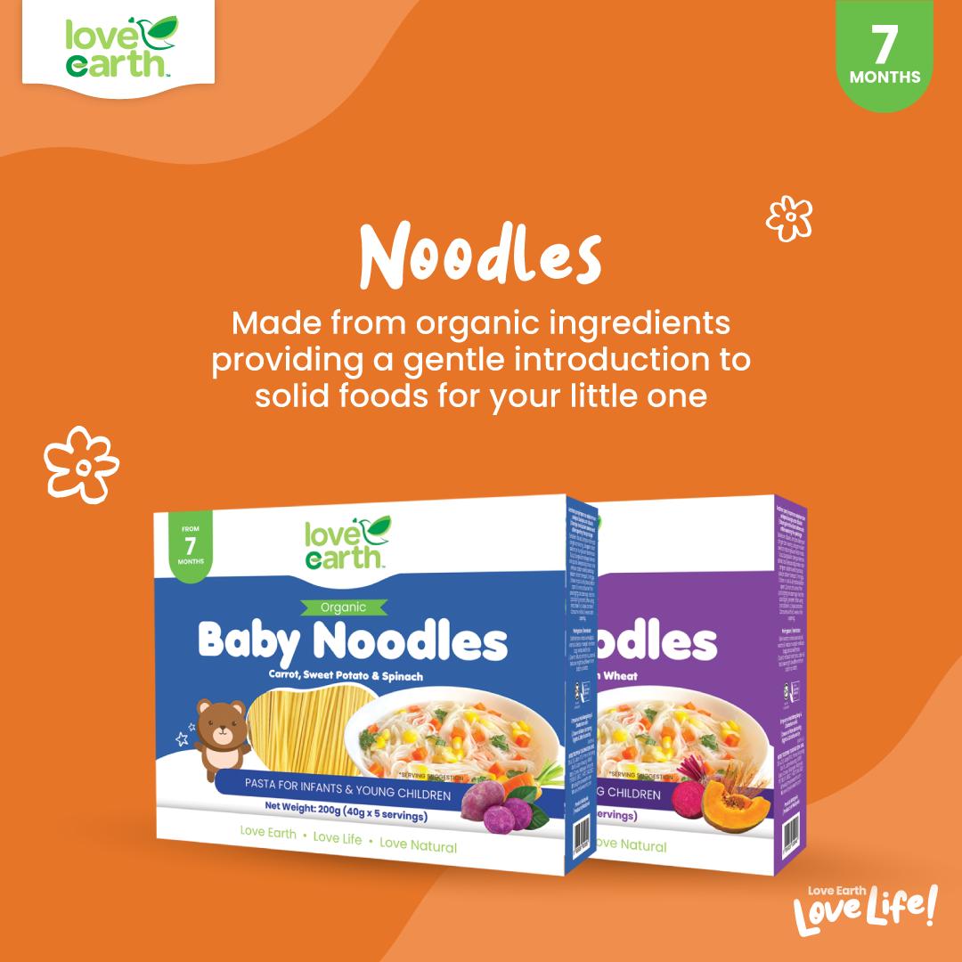 Love Earth Organic Baby Noodle 200g Pack Shopee Singapore