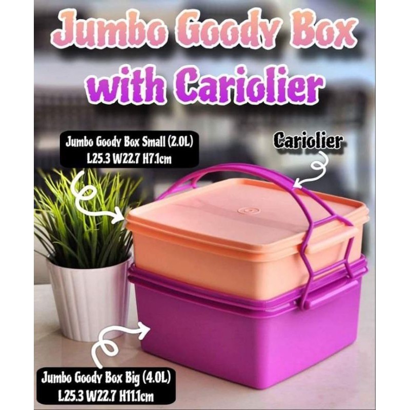 Tupperware Double Deep With Cariolier 1.7L/ Jumbo goody box/ Tupperware ...